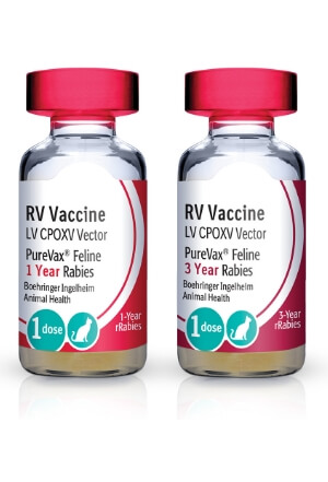 Purevax 2024 felv vaccine